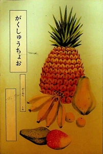 Japanese Language Study Book Hakubundo Book Co Hawaii Vintage - Picture 1 of 4