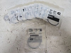 13 Quantity of Cummins O Ring Seal 3089025 (13 Quantity) - Picture 1 of 3
