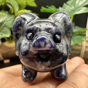 1pc Natural blue-veins stone Quartz carved Crystal fly pig skull healing Reiki - Picture 1 of 17