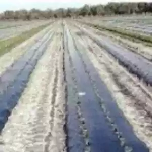 Pacciamatura carta fioriere paesaggistiche - rotolo barriera erbacce biodegradabile 4 piedi x 50 piedi - Foto 1 di 1