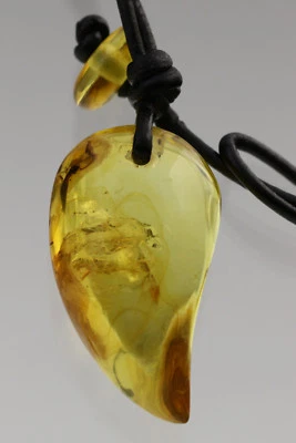 正品 BALTIC AMBER 化石蜘蛛吊坠 FANG TUSK 皮革绳 6.5 克 81025-4 — 第 1/4 张图片