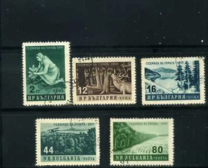 PLANE OVER FLOREST,- ISSUE NATURE-BILINGUAL LATIN BULGARIA {5} 1957 - Picture 1 of 2