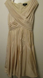 Tadashi Collection Champagne Beige Pleated Front Satiny Full Flowy Skirt 8 NWOT - Picture 1 of 7
