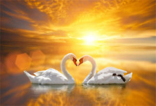besando cisnes en la playa puesta de sol amor pájaros corazones azulejos cerámica mural salpicadero