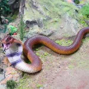 9.5" Realistic Rubber Lifelike Fake Cobra Snake Scary Toy Prank Party Joke Prop - Picture 1 of 3