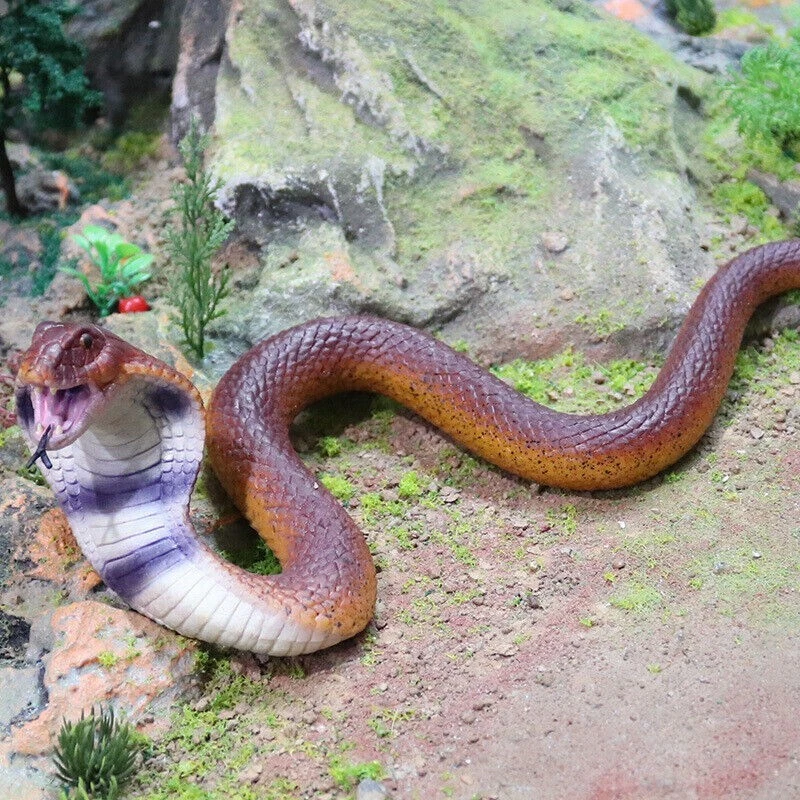 9.5" Goma Realista Realista Falsa Cobra Serpiente Juguete de Miedo Broma Fiesta Broma utilería Foto 1 de 3