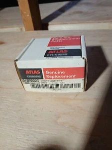 NEW ATLAS/PARKER 5A10R000S CARTRIDGE KIT - Picture 1 of 3