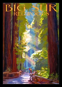 Big Sur California Coast Redwoods Magnético Póster de Viaje Nevera Imán 6x8 Grande - Imagen 1 de 2