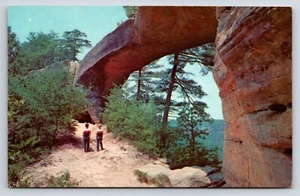 Postcard Beneath Sky Bridge Cumberland National Forest Wolk County, Kentucky - Picture 1 of 2