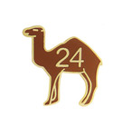  Alcoholics Anonymous AA Camel 24 Hours Without A Drink Pin Badge