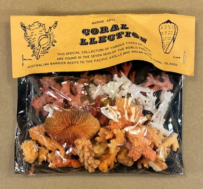 Vintage Marine Coral Collection Sealed Pack Pre-CITES Penzance Souvenir RARE - Image 1 of 4