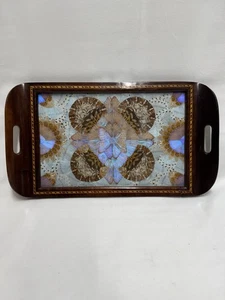 Vintage Brazilian Blue Morpho Butterfly Wing Inlaid Glass Top Wood Serving Tray - Picture 1 of 10