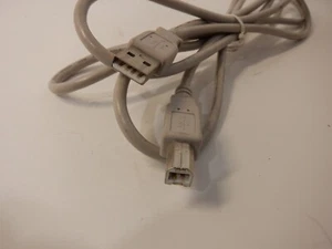 USB Printer Cable 6FT USB-A to USB-B 6FT UNBRANDED - Picture 1 of 3