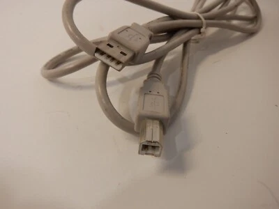 USB Printer Cable 6FT USB-A to USB-B 6FT UNBRANDED - Image 1 of 3