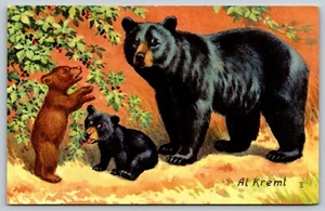 SCHWARZBÄR Kunst Al Kreml 1958 National Wildlife Federation Vintage Postkarte A45 - Bild 1 von 2