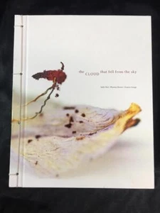 THE CLOUD THAT FELL FROM THE SKY Judy Choi SIGNED 2018 First Edition of 500 - Picture 1 of 5