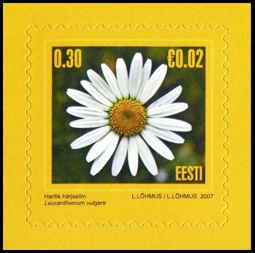 EST_370- 2007 Estonia ojo de buey margarita flores FLORA MNH Foto 1 de 1