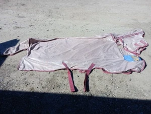 Amigo Mio Fly Rug Combo - Picture 1 of 12