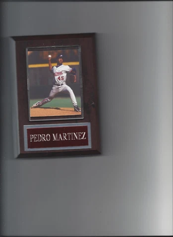 PEDRO MARTINEZ PLAQUE BASEBALL MONTREAL EXPOS MLB Cover