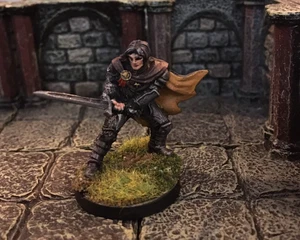 Black Cloak Plate Mail D&D Nextlevelminiature Resin new hand painted28mm fighter - Bild 1 von 4