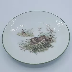 "Plato de colección Bareuther Waldsassen conejo liebre vida silvestre 8"" Alemania" - Imagen 1 de 5