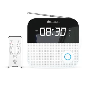 Wi-Fi Alarm Clock Radio-Voice Recording,Sleep Sounds,App,Auto-Dimmer - Picture 1 of 9