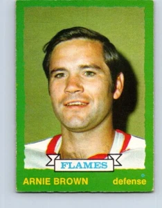 VINTAGE HOCKEY CARD OPC 1973 ATLANTA FLAMES ARNIE BROWN NO132 - Picture 1 of 2