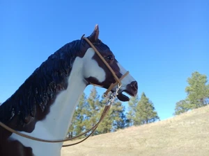 Johnny West Marx breyer Horse Brown leather bridle Barbwire Bit - Picture 1 of 1