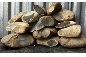 Texas Primo Thin Chert Flint materiale da scatto punte di freccia Med FlatRate scatola completa - Foto 1 di 5