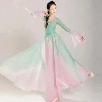 Dancer Performance Costumes Chiffon Practice Dance Clothes Body Long Outer - image 1 of 4