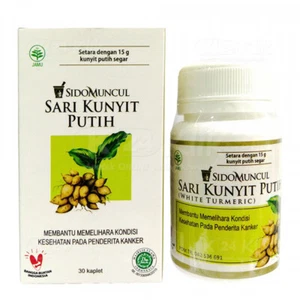 Kunyit Putih Curcuma Bianca Zedoary Erbe Integratore Aiuto Grumo 30 Capsule/Scatola - Foto 1 di 3