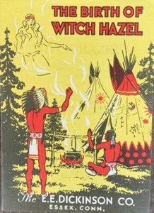 Vintage The Birth of Witch Hazel Pamphlet Superb Artwork of Native Americans NOS - Picture 1 of 2