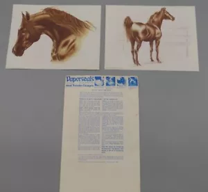  Vintage Vaporseals Cavallo Trasferitori di Calore Geme Art Gallery Stallone Cavallo - Foto 1 di 5