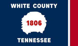 Tennessee Flag Cheatham Greene Hamilton Hawkins Knox Obion Shelby Union Warren - Picture 1 of 16