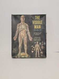 The Visible Man Anatomy Science Assembly Kit 1959 Renwal Brand W/Box Vintag