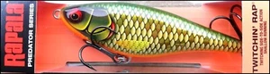 SEÑUELOS DE PESCA RAPALA TWITCHIN RAP TWR 12 cm SCRR (Cucaracha a Escala) Abachi - Imagen 1 de 2