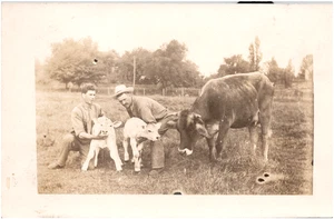 Theo J. Kurtz with his Brown Swiss Cattle Calves Cedarburg WI RPPC Postcard - Picture 1 of 2
