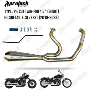 Exhaust 2018-2023 Harley-Davidson Softail Slim FLSL 107 2 INTO 1 - Bild 1 von 1