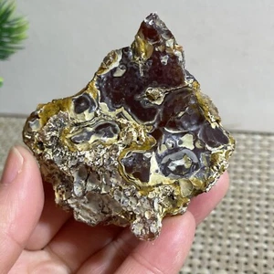 Bonsai Suiseki natural 95 g - ojos de ágata Gobi natural piedra - raro impresionante - Imagen 1 de 14