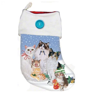 Cat Christmas Stocking - Picture 1 of 1