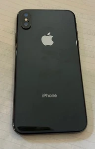 Apple iPhone X - 256 Go - Gris Sidéral (Désimlocké) Occasion - avec coque - Photo 1 sur 8