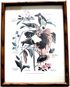 ARTHUR SINGER 50's FLOWER AND GLASS FRAMED BIRD PRINT # 6 GOLDFINCH PICTURE - Picture 1 of 1