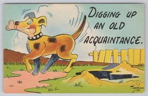 Postcard Comic Card Dog Humor Vintage Funny - Picture 1 of 2