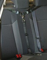 bushwhacker paws n claws