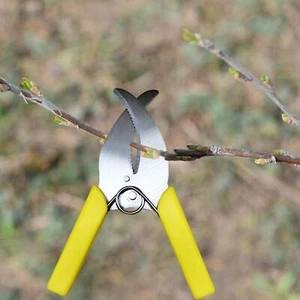 Ring Barking Cutter Scissor Garden Tree Pruning Scissor Handheld Planting - Picture 1 of 6