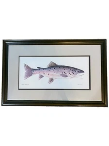 Signed and Numbered L/E Dan Goad "Brown Trout" Photo Offset Lithograph 596/1000 - Picture 1 of 6