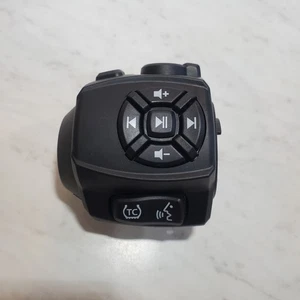 Paquete de interruptor de control derecho especial OEM 2021-2025 Harley Pan America agarre - Imagen 1 de 11