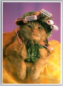 Vintage Photograph Postcard 5x7 Cat in Curlers OA-1 - Imagen 1 de 1