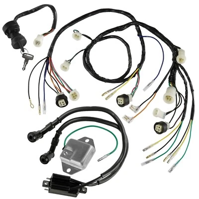 Arnés de cables regulador interruptor de encendido bobina se adapta a Yamaha Banshee 350 YFZ350 87-94 Foto 1 de 4