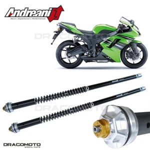 KAWASAKI ZX-6R 2007-2008 cartridge ANDREANI 105/K30E MISANO EVO - Picture 1 of 5